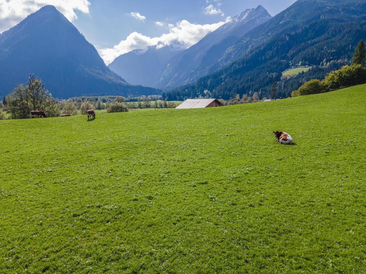 Landhaus Hotter 26 Neukirchen am Großvenediger Eksteriør billede